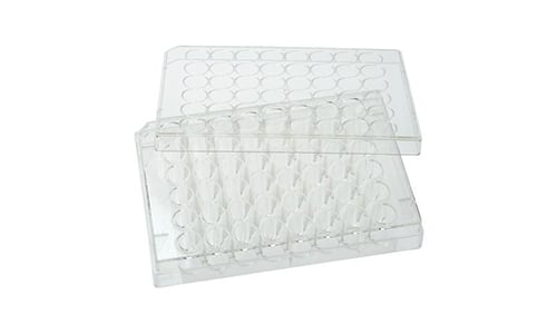 48 well cell culture plate1
