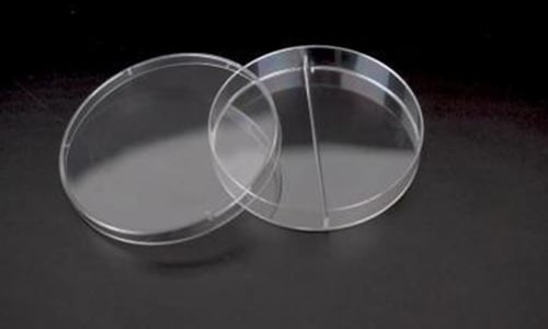 Petri Dish with two compart1